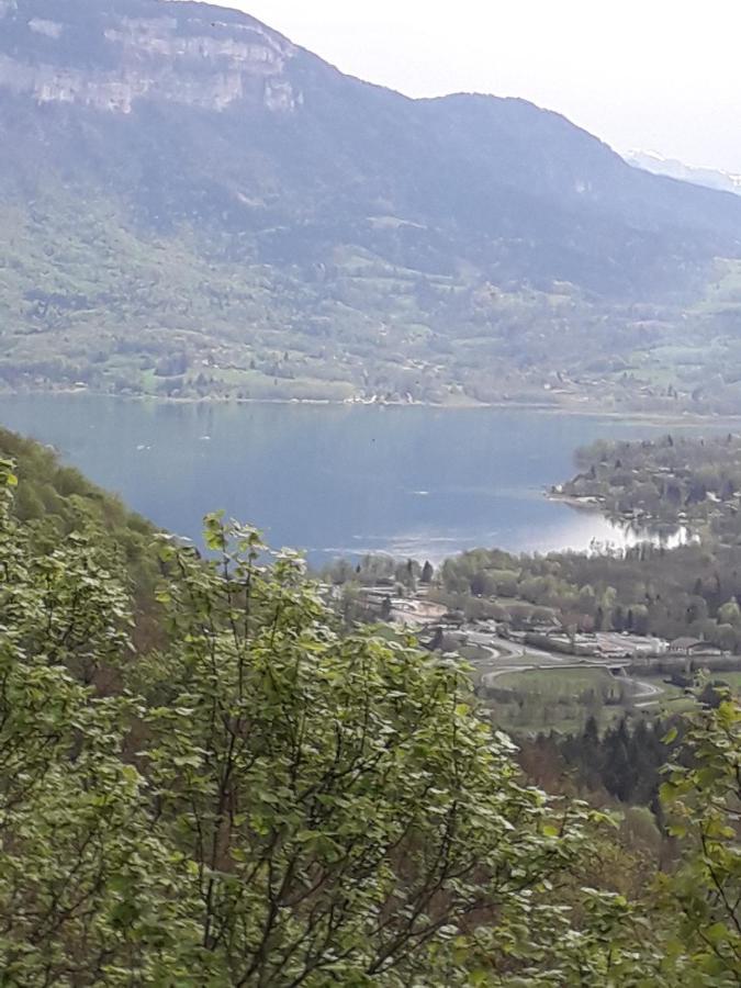 Les Tilleuls Saint-Jean-d'Avelanne Ngoại thất bức ảnh